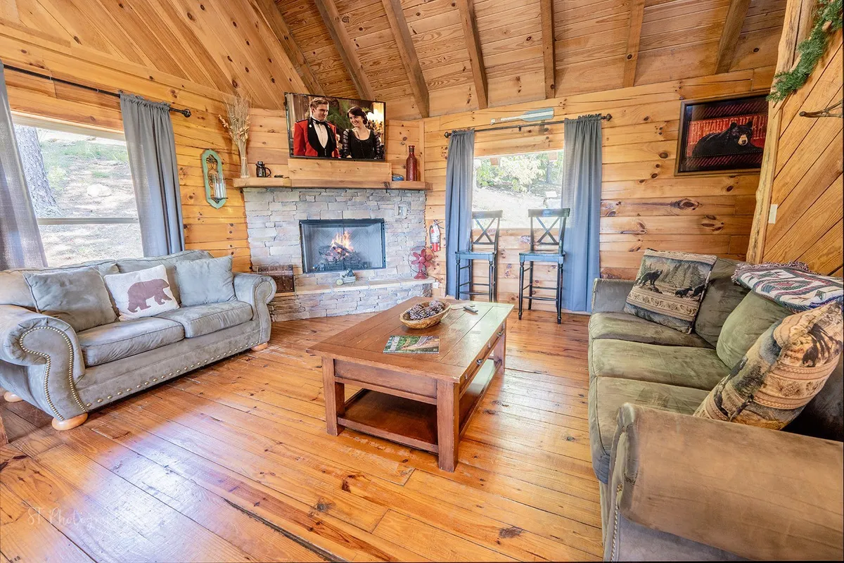 A living room featuring a comfortable sofa, fireplace, television, and coffee table. The mood is inviting, perfect for relaxing or hosting additional guests using the queen sleeper sofa.